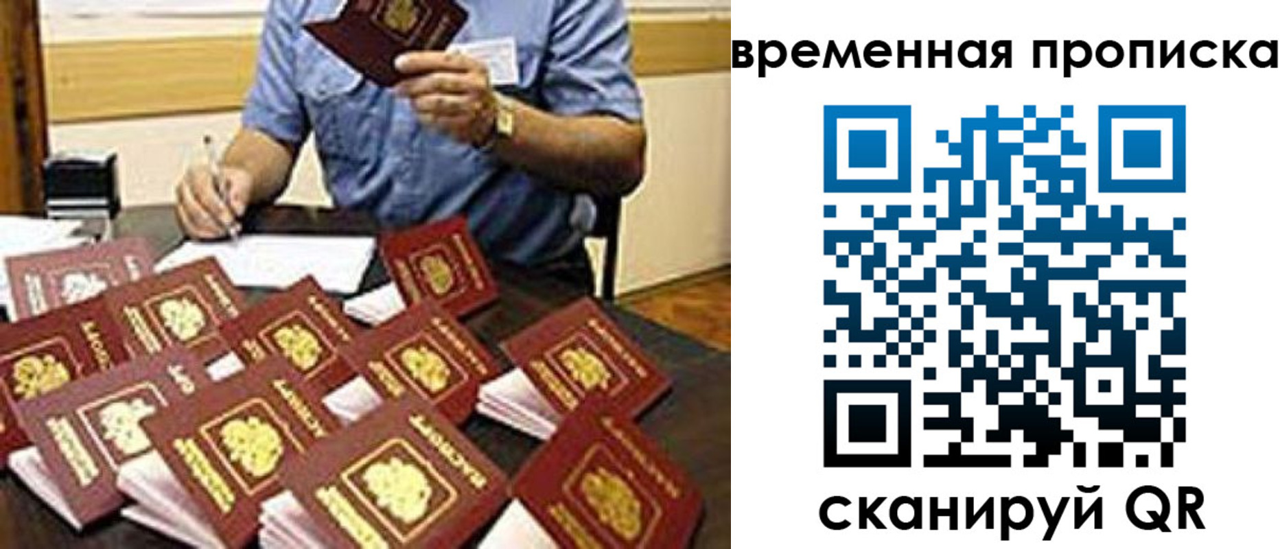 прописка для школы в Бородино